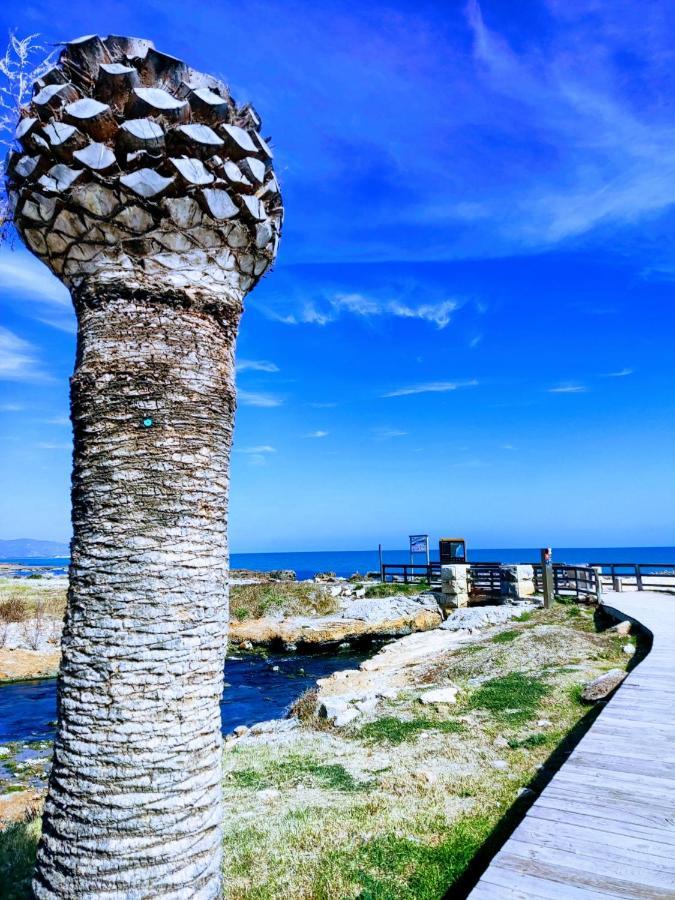 Apartamento Acogedor En Cabanes, Torre La Sal, Costamar I Marina D'Or Venta de San Antonio-Estacion Exteriér fotografie